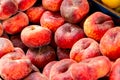 Fresh Flat Peaches on Display in Treviso Market Royalty Free Stock Photo