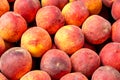 Fresh round Peaches on Display in Treviso Market Royalty Free Stock Photo