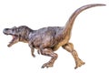 Trex Tyrannosaurus dinosaur on isolated background