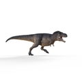 Trex white on white background. Royalty Free Stock Photo