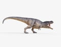 Trex white. Royalty Free Stock Photo