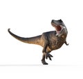 Trex white on white background Royalty Free Stock Photo