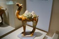 Tri-colored glazed camel of the Tang Dynasty Royalty Free Stock Photo