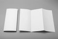 Tri fold brochure blank mockup. Booklet background