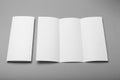 Tri fold brochure blank mockup. Booklet background