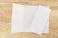 A4 tri-fold brochure blank white template for mock up and presentation design