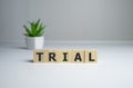 trial, word cube on wood background, business concept