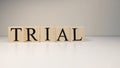 Trial word from wooden cubes. About legal terms