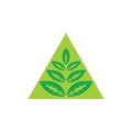 Triangle leaves petals symbol vector