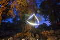 Triangle of light in night forest