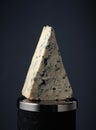 Triangle piece of blue cheese Royalty Free Stock Photo