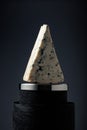 Triangle piece of blue cheese Royalty Free Stock Photo