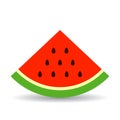 Triangle piece of watermelon vector icon