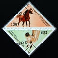 Triangle postage stamp Benin 1997. Horse Equus ferus caballus