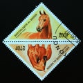 Triangle postage stamp Benin 1997. Horse Equus ferus caballus