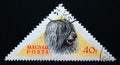 Triangle postage stamp hungary, 1956. Puli canis lupus familiaris