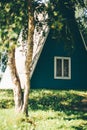 Triangle roof house and a birch tree