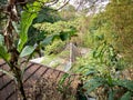 A Triangle Roof Top In The Green View