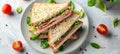 Triangle sandwich with ham, cheese, tomato salad on bright white background copy space for text Royalty Free Stock Photo