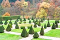 Triangle shaped topiary green trees in Burresheim Castle ornamental garden