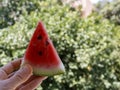 Triangle watermelon slice with seeds in hand Royalty Free Stock Photo