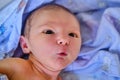 Triangular alien - shaped face of a newborn baby, a portrait with the emotion of surprise in a child Royalty Free Stock Photo