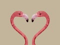 Flamingo, Triangular flamingo polygonal model, heads facing each other forming a heart symbol