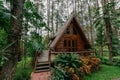 Triangular house built from wood in the forest Royalty Free Stock Photo