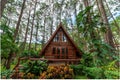 Triangular house built from wood in the forest
