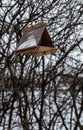 triangular little birdhouse hanging on a branch of a bush