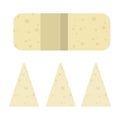 Triangular pieces of cheese vector flat isolated