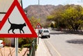 Triangular road sign warning cats are crossing Royalty Free Stock Photo