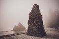 Triangular rock formation on Ruby Beach on foggy day in Washington State, USA