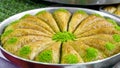 Triangular shaped baklava in round tray. turkey specific sweet syrup