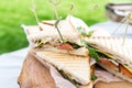 Triangular shaped sandwich with ham, vegetables and mayonnaise on a wooden platter. Menu for an outdoor event in summer