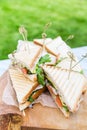 Triangular shaped sandwich with ham, vegetables and mayonnaise on a wooden platter. Menu for an outdoor event in summer