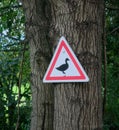 Beware of wildfowl Geese, triangle warning sign Royalty Free Stock Photo