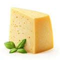 Delicious Wedge of Yellow Cheese with Fresh Basil Royalty Free Stock Photo