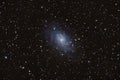 Triangulum Galaxy Galaxy M33 with Nebula ,Open Cluster,Globular Cluster, stars and space dust Royalty Free Stock Photo