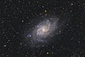 The Triangulum Galaxy M33 in the Triangulum constellation Royalty Free Stock Photo