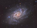 Triangulum Galaxy M33 Royalty Free Stock Photo