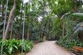 The Trianon Park on the Paulista Avenue, Sao Paulo, Brazil Royalty Free Stock Photo