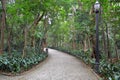 The Trianon Park on the Paulista Avenue, Sao Paulo, Brazil Royalty Free Stock Photo