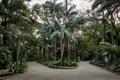 Trianon Park at Paulista Avenue - Sao Paulo, Brazil Royalty Free Stock Photo