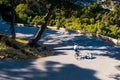 Triathlete men cycling road bike in the summer evening