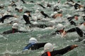 Triathletes Royalty Free Stock Photo