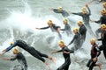 Triathletes on Start of Triathlon