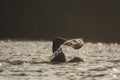 Triathletes swim on start of the Ironman triathlon competition