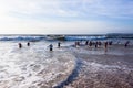 Triathlon Champs Women Ocean Swim Start