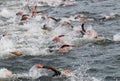 Triathlon, many swimming men